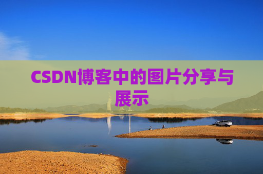 CSDN博客中的图片分享与展示